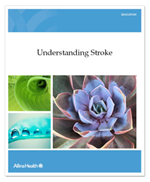 understanding stroke manual cover